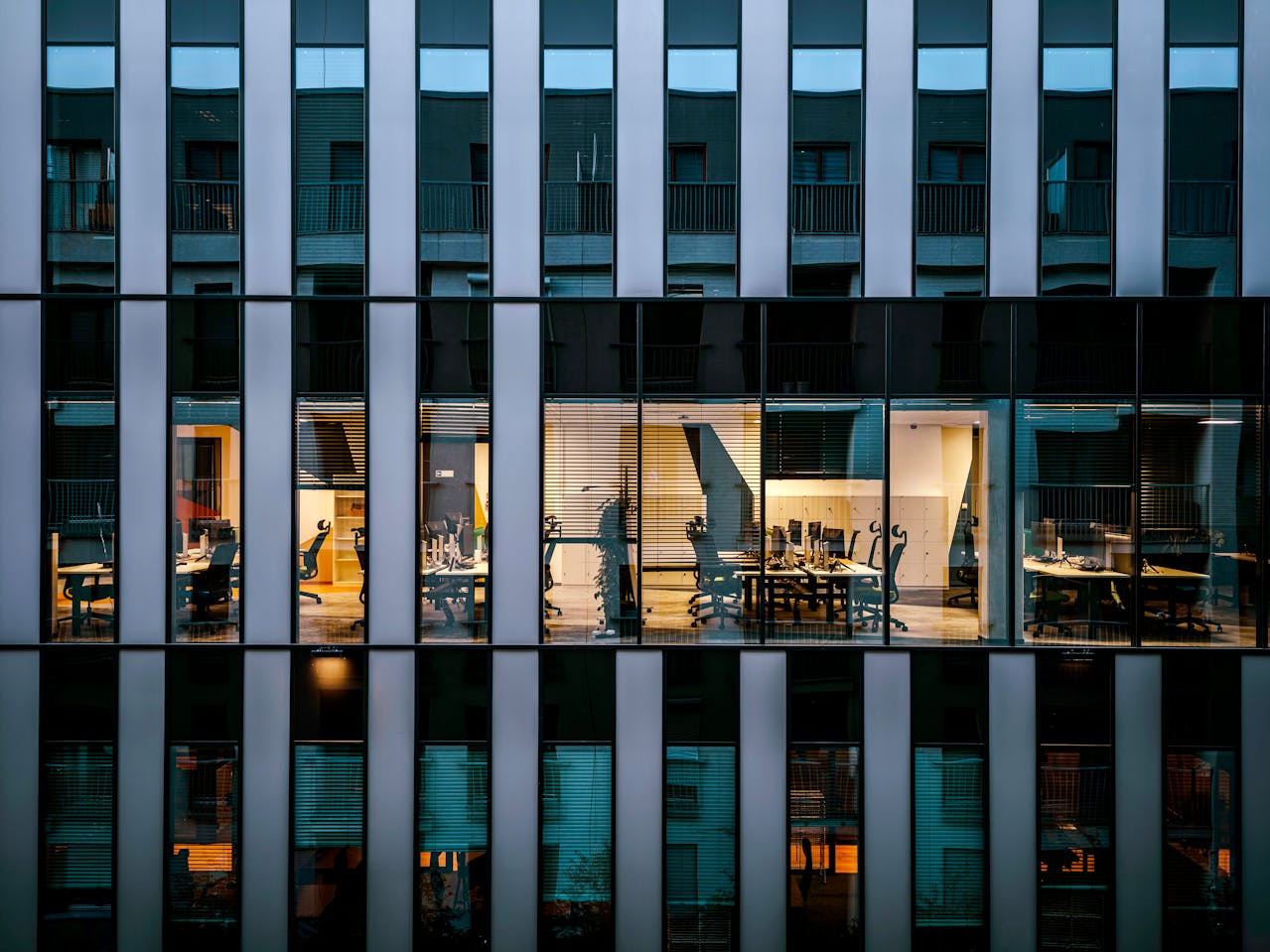 Critical Importance Of Removing Mold From Office Buildings Removing Mold From Office Buildings